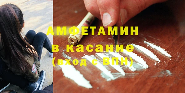 сатива Балахна
