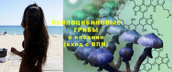 дурь Армянск