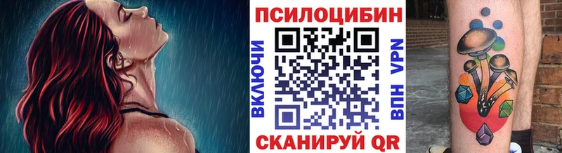 Галлюциногенные грибы прущие грибы  Пудож 